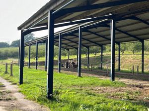 Photo 12- click for photo gallery